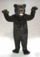1st Gen Bear suit